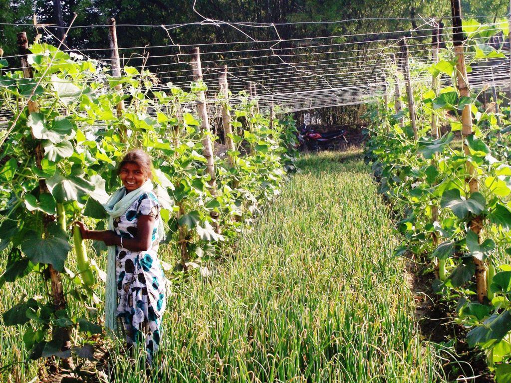 Agro-Based Livelihood