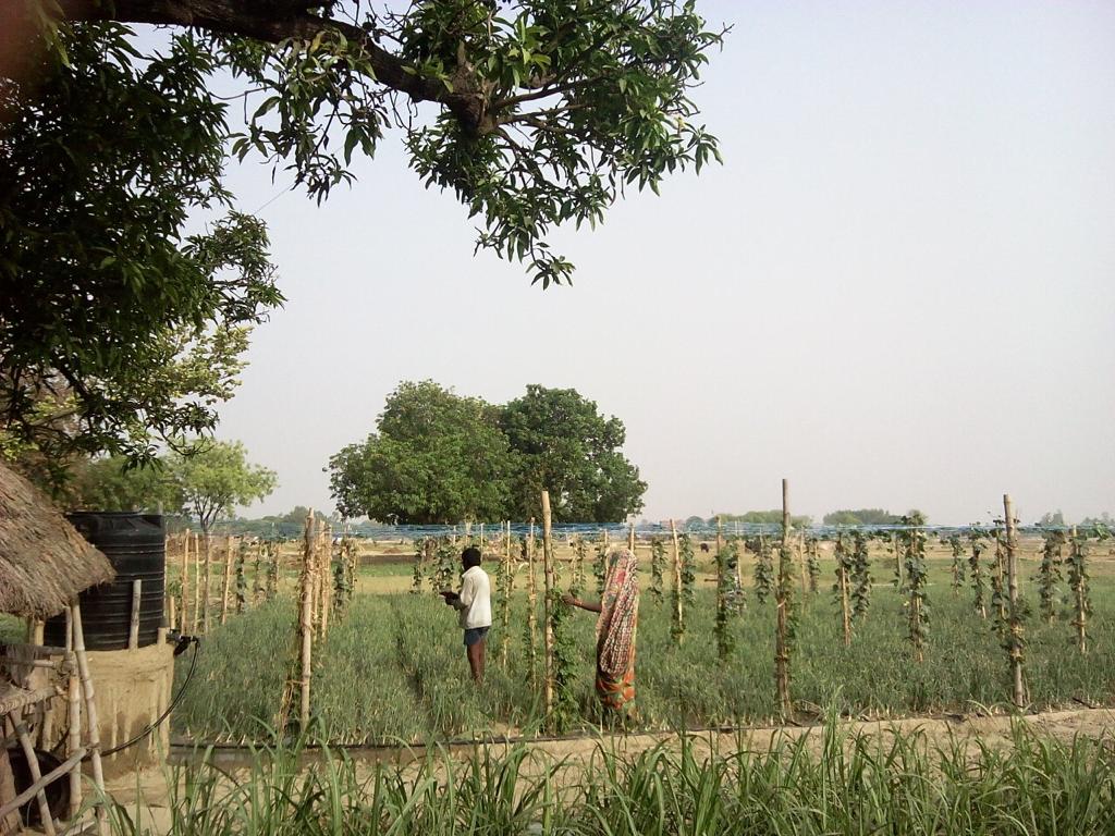 Agro-Based Livelihood